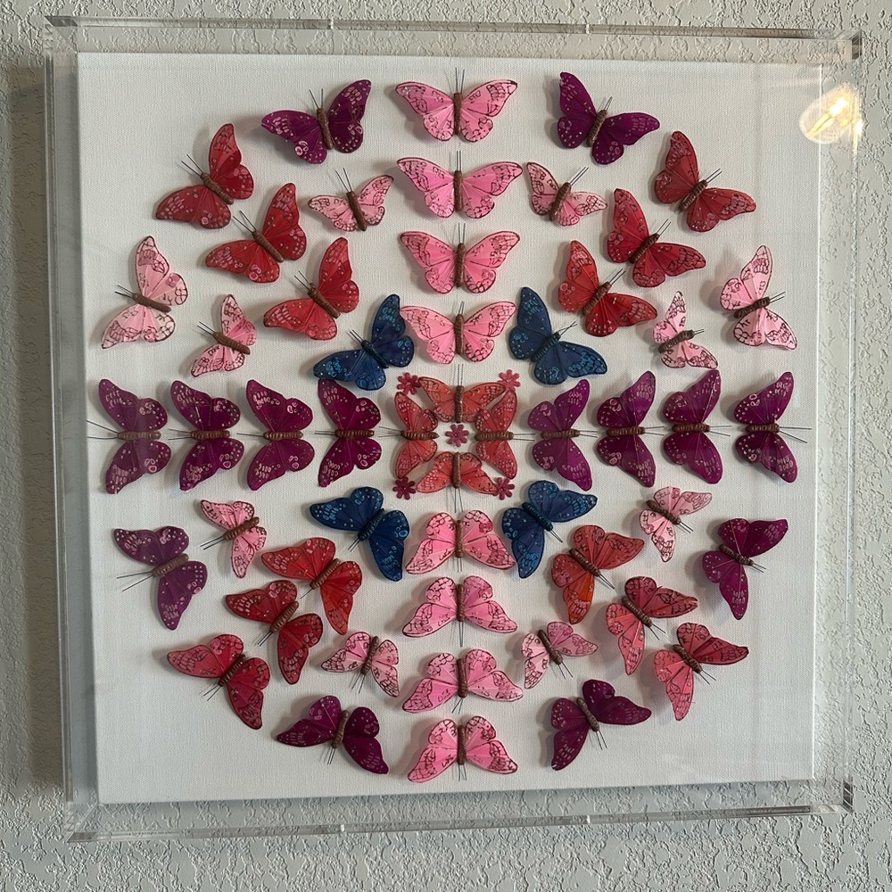 Butterfly Wall Art canvas in shadow box